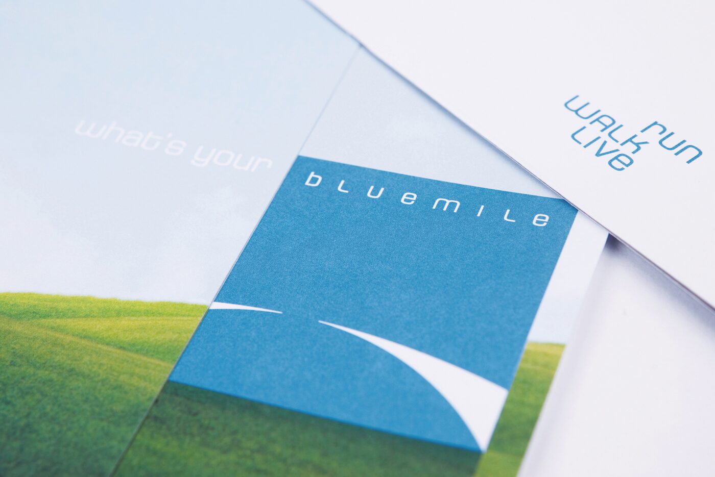 BlueMile identity system
