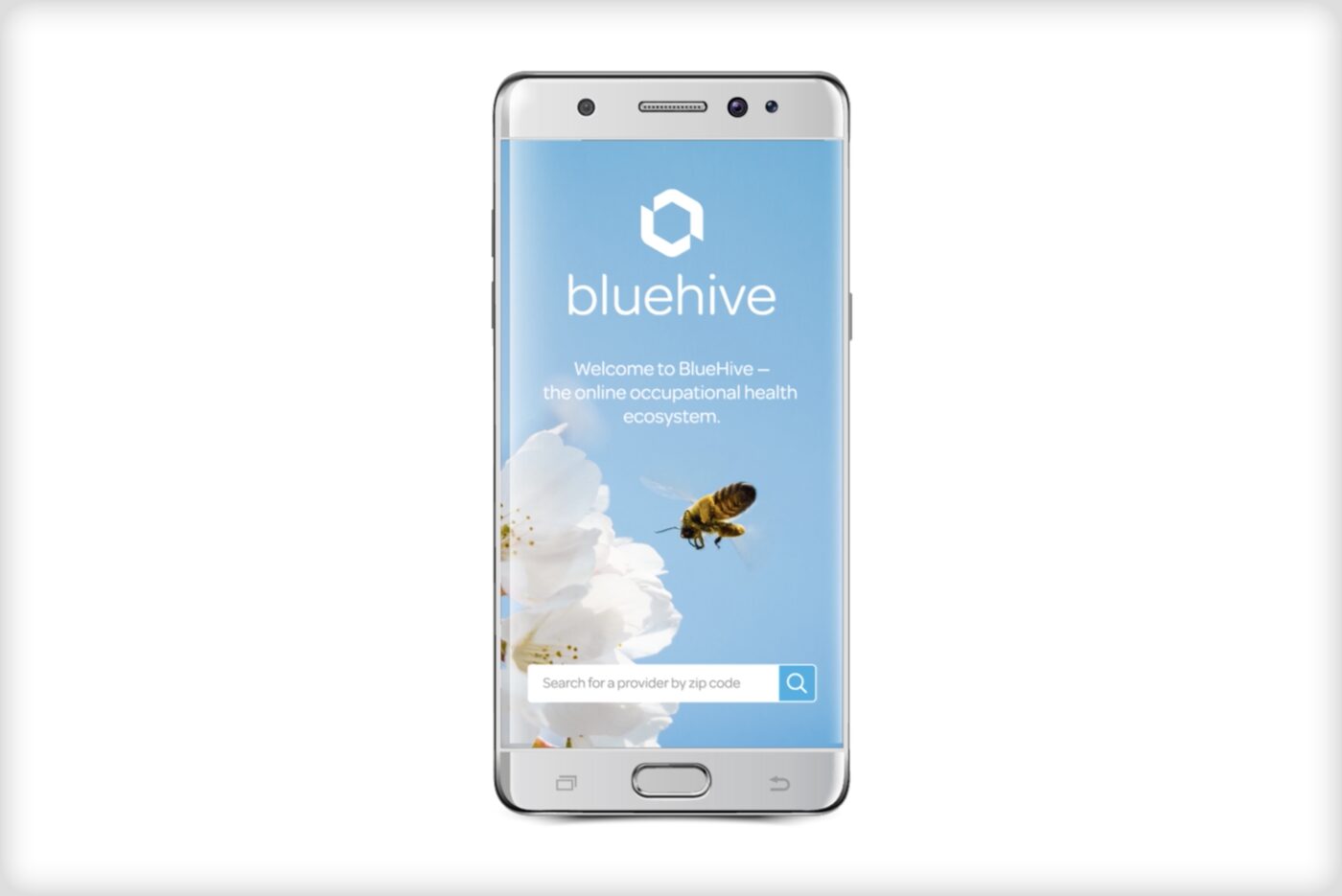 BlueHive splash screen on a phone